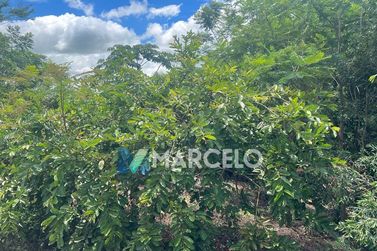 Ch&aacute;cara &agrave; venda - 4597m&sup2; - -