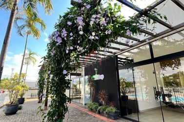 Apartamento &agrave; venda - 49m&sup2; - Zona V