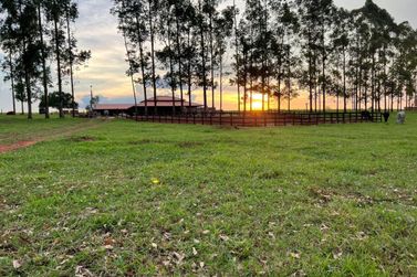 Ch&aacute;cara &agrave; venda - 20000m&sup2; - Estrada Jaborandi