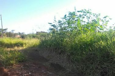 Ch&aacute;cara &agrave; venda - 4096m&sup2; - AREA RURAL