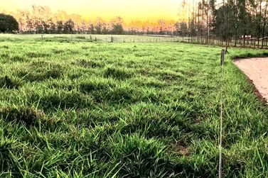Ch&aacute;cara &agrave; venda - 20000m&sup2; - Estrada Jaborandi