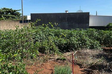 Terreno &agrave; venda - 269m&sup2; - Jardim Novo Mil&ecirc;nio