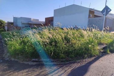 Terreno &agrave; venda - 220m&sup2; - Jardim Modelo