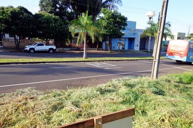 Terreno &agrave; venda - 433m&sup2; - ZONA 2-A