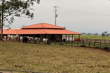 Ch&aacute;cara &agrave; venda - 20000m&sup2; - Estrada  Jaborandi