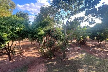 Ch&aacute;cara &agrave; venda - 