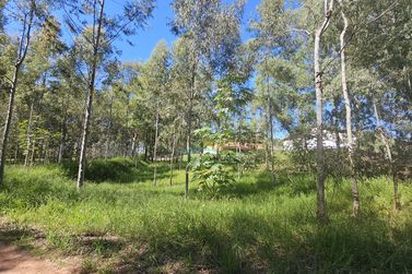 S&iacute;tio &agrave; venda - 7m&sup2; - SERRA DOS DOURADOS