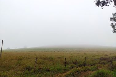 S&iacute;tio &agrave; venda - 20000m&sup2; - PARQUE DAS JABOTICABEIRAS