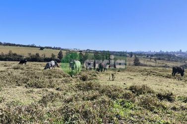 Terreno &agrave; venda - 1196m&sup2; - -