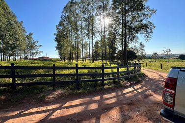 Ch&aacute;cara &agrave; venda - 20000m&sup2; - Estrada  Jaborandi