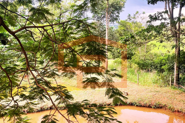 S&iacute;tio &agrave; venda - Estrada Palmital