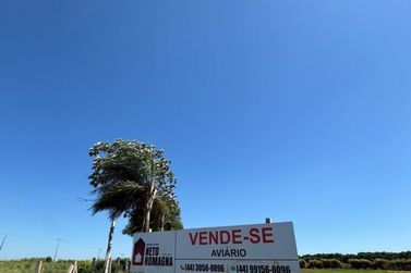 Ch&aacute;cara &agrave; venda - Santa Eliza