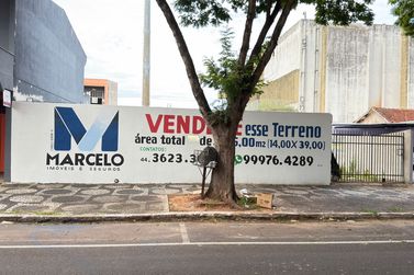 Terreno &agrave; venda - 546m&sup2; - Zona I