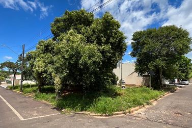 Terreno &agrave; venda - 600m&sup2; - Avenida Brasil
