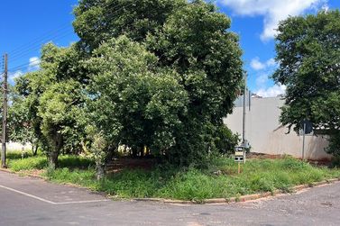 Terreno &agrave; venda - 600m&sup2; - Avenida Brasil