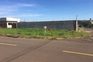 Terreno &agrave; venda - 265m&sup2; - JARDIM NOVA AM&Eacute;RICA