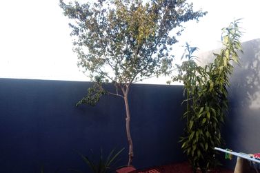 Casa &agrave; venda - 83m&sup2; - Jardim Real