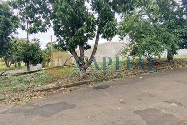 Terreno &agrave; venda - 249m&sup2; - Jardim dos Pass&aacute;ros