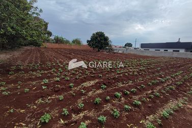 Terreno &agrave; venda - 800m&sup2; - BOM PRINC&Iacute;PIO