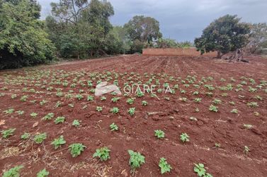 Terreno &agrave; venda - 800m&sup2; - BOM PRINC&Iacute;PIO