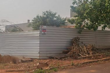 Terreno &agrave; venda - 522m&sup2; - Zona IV