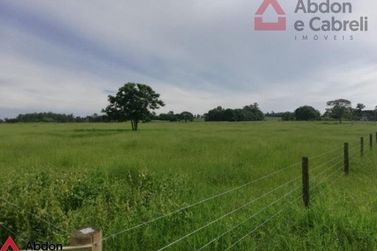 Ch&aacute;cara &agrave; venda - 20000m&sup2; - Sa&iacute;da Para Serra dos Dourados