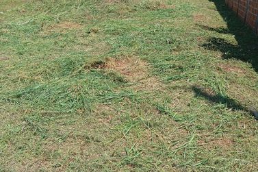 Terreno &agrave; venda - 270m&sup2; - JARDIM DAS ARAUCARIAS