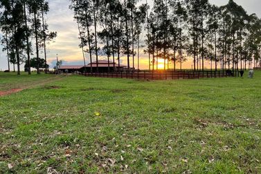 Ch&aacute;cara &agrave; venda - 20000m&sup2; - Estrada Jaborandi