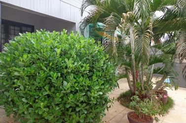 Casa &agrave; venda - 330m&sup2; - Jardim Panorama