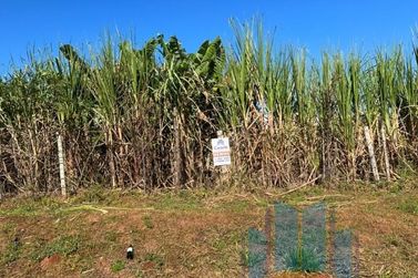 Terreno &agrave; venda - 481m&sup2; - Jardim Europa