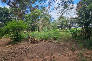 Ch&aacute;cara &agrave; venda - 42088m&sup2; - PARQUE LAGO AZUL