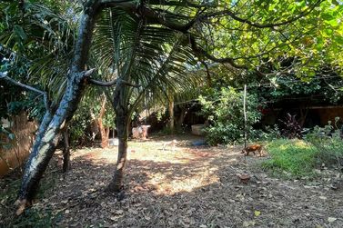 Terreno &agrave; venda - 114m&sup2; - ZONA I