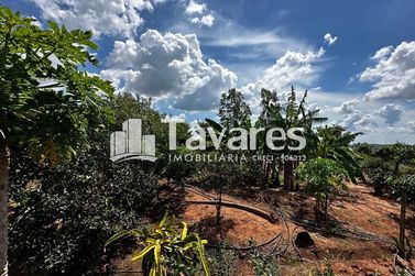 Ch&aacute;cara &agrave; venda - &Aacute;rea Rural de Umuarama