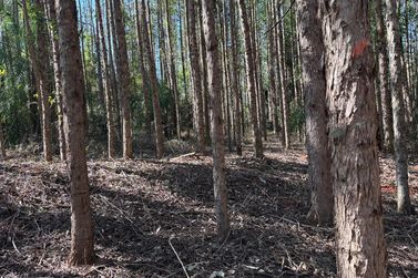 Fazenda &agrave; venda - 27383m&sup2; - Zona Rural