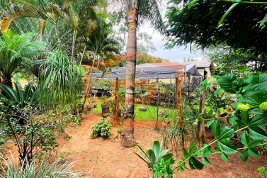 S&iacute;tio &agrave; venda - Estrada Palmital