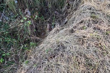 Fazenda &agrave; venda - 27383m&sup2; - Zona Rural