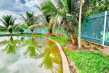 S&iacute;tio &agrave; venda - Rodovia Antonio Pedroso