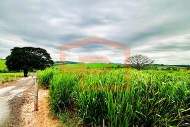 S&iacute;tio &agrave; venda - Rodovia Antonio Pedroso