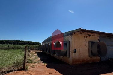 Ch&aacute;cara &agrave; venda - Santa Eliza