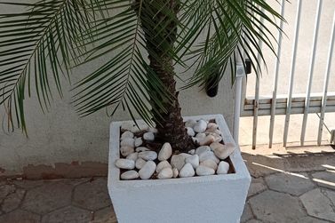 Apartamento &agrave; venda - 63m&sup2; - ZONA I