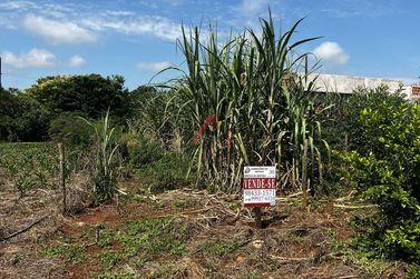 Terreno &agrave; venda - 198m&sup2; - Centro