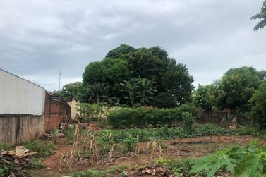 Terreno &agrave; venda - 