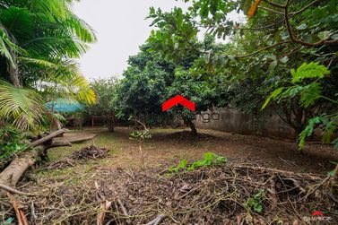 Ch&aacute;cara &agrave; venda - 445m&sup2; - Jardim America
