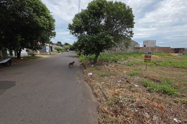 Terreno &agrave; venda - 210m&sup2; - JARDIM ORIENTE