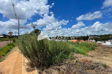 Terreno &agrave; venda - 252m&sup2; - VILA PIONEIRO
