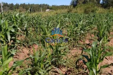 Ch&aacute;cara &agrave; venda - 5000m&sup2; - &Aacute;rea Rural de Umuarama
