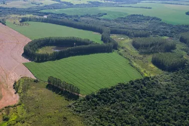 Fazenda &agrave; venda - 72m&sup2; - PR-468
