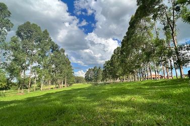 Ch&aacute;cara &agrave; venda - 20000m&sup2; - Estrada Jaborandi