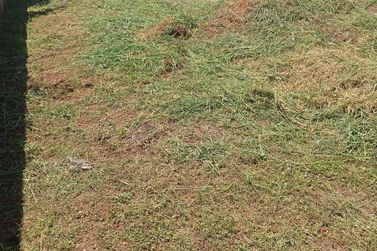 Terreno &agrave; venda - 270m&sup2; - JARDIM DAS ARAUCARIAS