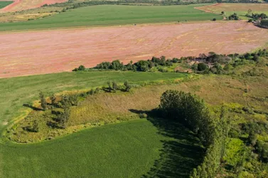 Fazenda &agrave; venda - 72m&sup2; - PR-468
